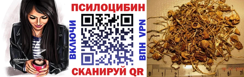 сколько стоит  Еманжелинск  Галлюциногенные грибы мицелий 